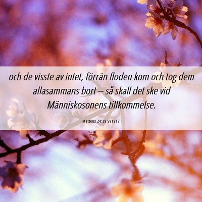 Picture 06 - Matteus 24:39 SV1917 - och de visste av intet, förrän floden kom och - Bible Verse Picture
