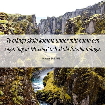 Picture 06 - Matteus 24:5 SV1917 - Ty många skola komma under mitt namn och säga: - Bible Verse Picture