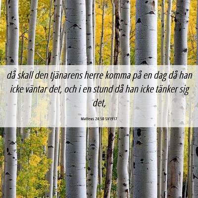 Picture 06 - Matteus 24:50 SV1917 - då skall den tjänarens herre komma på en dag - Bible Verse Picture