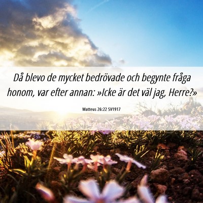 Picture 06 - Matteus 26:22 SV1917 - Då blevo de mycket bedrövade och begynte fråga - Bible Verse Picture