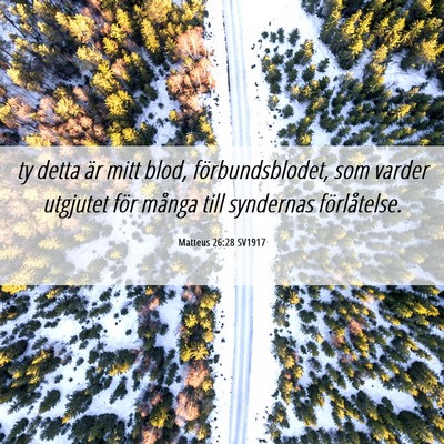 Picture 06 - Matteus 26:28 SV1917 - ty detta är mitt blod, förbundsblodet, som - Bible Verse Picture