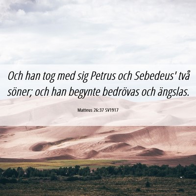 Picture 06 - Matteus 26:37 SV1917 - Och han tog med sig Petrus och Sebedeus' två - Bible Verse Picture