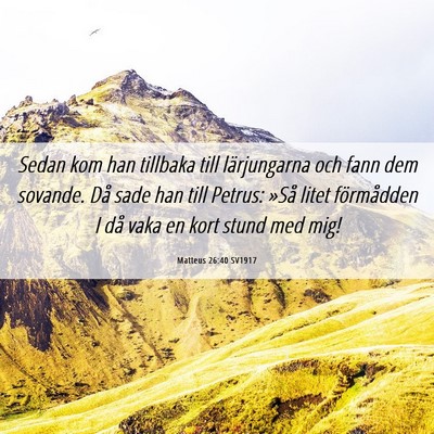 Picture 06 - Matteus 26:40 SV1917 - Sedan kom han tillbaka till lärjungarna och fann - Bible Verse Picture