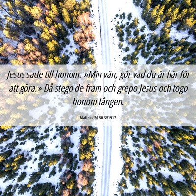 Picture 06 - Matteus 26:50 SV1917 - Jesus sade till honom: »Min vän, gör vad du - Bible Verse Picture