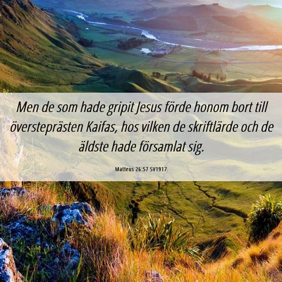 Picture 06 - Matteus 26:57 SV1917 - Men de som hade gripit Jesus förde honom bort - Bible Verse Picture