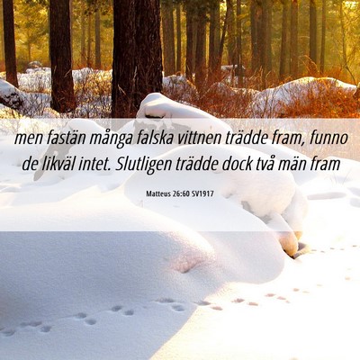 Picture 06 - Matteus 26:60 SV1917 - men fastän många falska vittnen trädde fram, - Bible Verse Picture