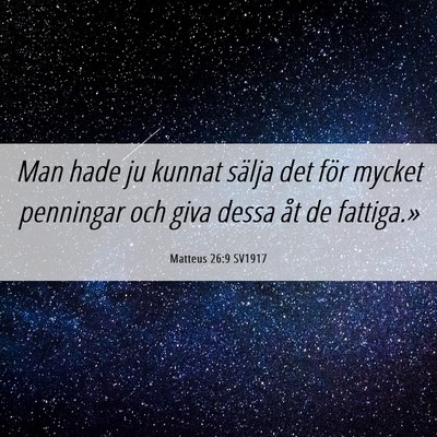 Picture 06 - Matteus 26:9 SV1917 - Man hade ju kunnat sälja det för mycket - Bible Verse Picture