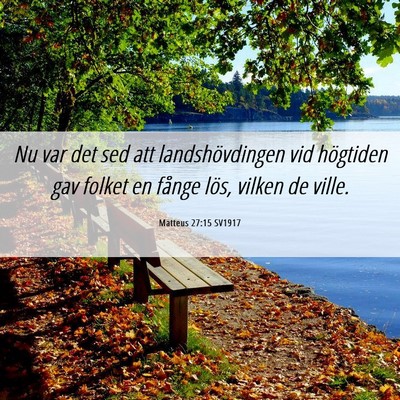 Picture 06 - Matteus 27:15 SV1917 - Nu var det sed att landshövdingen vid högtiden - Bible Verse Picture
