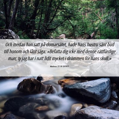 Picture 06 - Matteus 27:19 SV1917 - Och medan han satt på domarsätet, hade hans - Bible Verse Picture