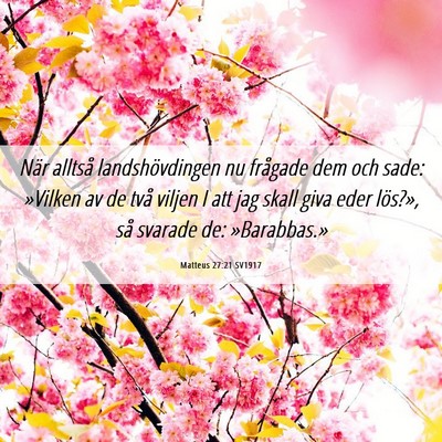 Picture 06 - Matteus 27:21 SV1917 - När alltså landshövdingen nu frågade dem och - Bible Verse Picture