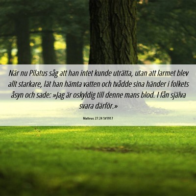Picture 06 - Matteus 27:24 SV1917 - När nu Pilatus såg att han intet kunde - Bible Verse Picture