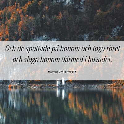 Picture 06 - Matteus 27:30 SV1917 - Och de spottade på honom och togo röret och - Bible Verse Picture