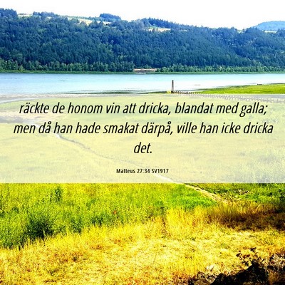 Picture 06 - Matteus 27:34 SV1917 - räckte de honom vin att dricka, blandat med - Bible Verse Picture