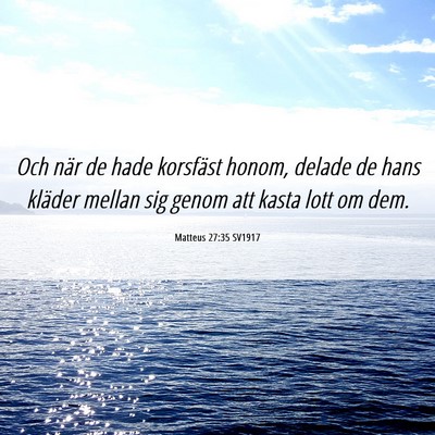 Picture 06 - Matteus 27:35 SV1917 - Och när de hade korsfäst honom, delade de hans - Bible Verse Picture