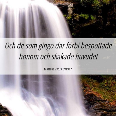 Picture 06 - Matteus 27:39 SV1917 - Och de som gingo där förbi bespottade honom och - Bible Verse Picture