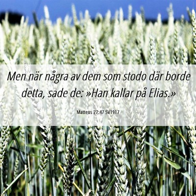 Picture 06 - Matteus 27:47 SV1917 - Men när några av dem som stodo där borde - Bible Verse Picture