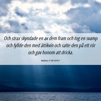 Picture 06 - Matteus 27:48 SV1917 - Och strax skyndade en av dem fram och tog en - Bible Verse Picture