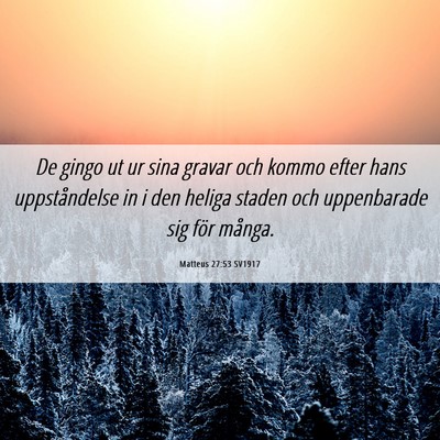 Picture 06 - Matteus 27:53 SV1917 - De gingo ut ur sina gravar och kommo efter hans - Bible Verse Picture