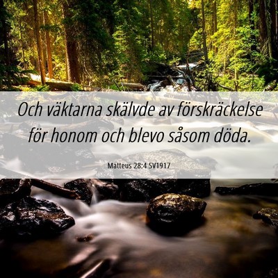 Picture 06 - Matteus 28:4 SV1917 - Och väktarna skälvde av förskräckelse för - Bible Verse Picture