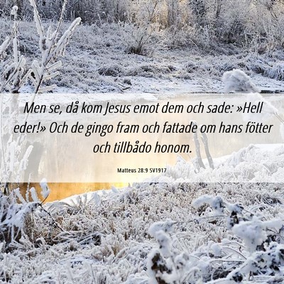 Picture 06 - Matteus 28:9 SV1917 - Men se, då kom Jesus emot dem och sade: »Hell - Bible Verse Picture