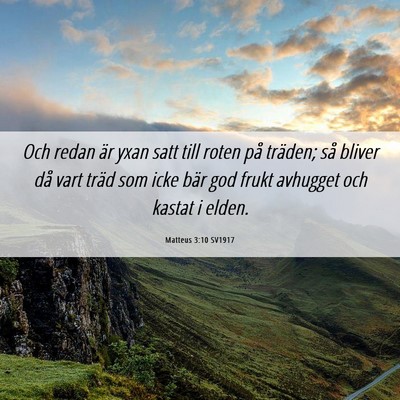 Picture 06 - Matteus 3:10 SV1917 - Och redan är yxan satt till roten på träden; - Bible Verse Picture
