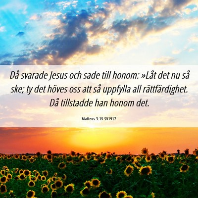 Picture 06 - Matteus 3:15 SV1917 - Då svarade Jesus och sade till honom: »Låt det - Bible Verse Picture