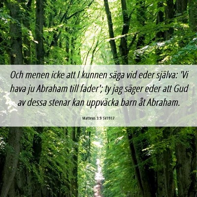 Picture 06 - Matteus 3:9 SV1917 - Och menen icke att I kunnen säga vid eder - Bible Verse Picture