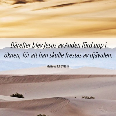 Picture 06 - Matteus 4:1 SV1917 - Därefter blev Jesus av Anden förd upp i öknen, - Bible Verse Picture