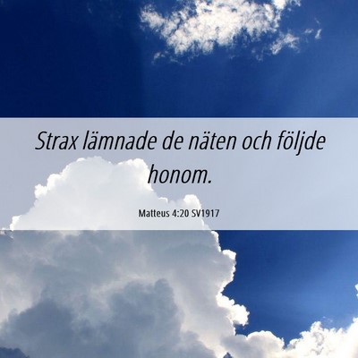 Picture 06 - Matteus 4:20 SV1917 - Strax lämnade de näten och följde - Bible Verse Picture