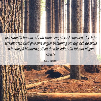 Picture 06 - Matteus 4:6 SV1917 - och sade till honom: »Är du Guds Son, så kasta - Bible Verse Picture
