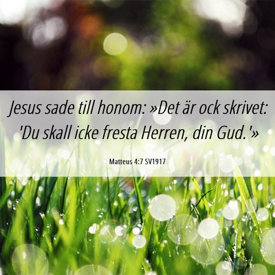 Picture 06 - Matteus 4:7 SV1917 - Jesus sade till honom: »Det är ock skrivet: 'Du - Bible Verse Picture