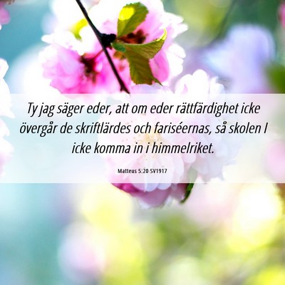 Picture 06 - Matteus 5:20 SV1917 - Ty jag säger eder, att om eder rättfärdighet - Bible Verse Picture