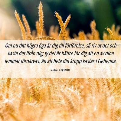 Picture 06 - Matteus 5:29 SV1917 - Om nu ditt högra öga är dig till förförelse, - Bible Verse Picture