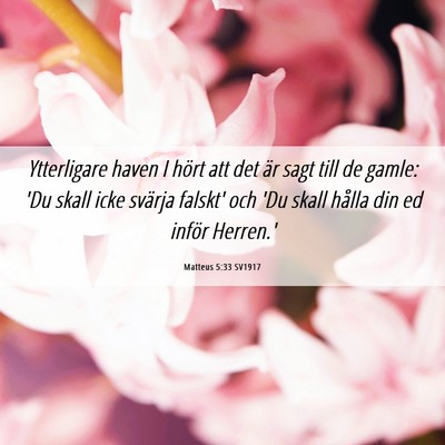 Picture 06 - Matteus 5:33 SV1917 - Ytterligare haven I hört att det är sagt till - Bible Verse Picture