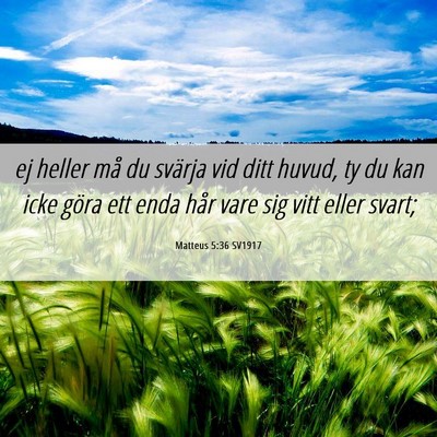 Picture 06 - Matteus 5:36 SV1917 - ej heller må du svärja vid ditt huvud, ty du - Bible Verse Picture