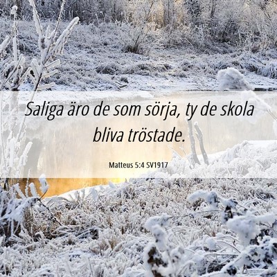 Picture 06 - Matteus 5:4 SV1917 - Saliga äro de som sörja, ty de skola bliva - Bible Verse Picture
