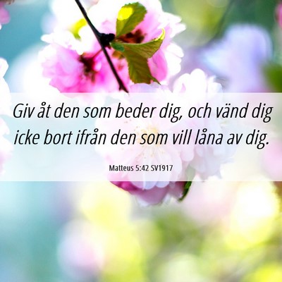 Picture 06 - Matteus 5:42 SV1917 - Giv åt den som beder dig, och vänd dig icke - Bible Verse Picture