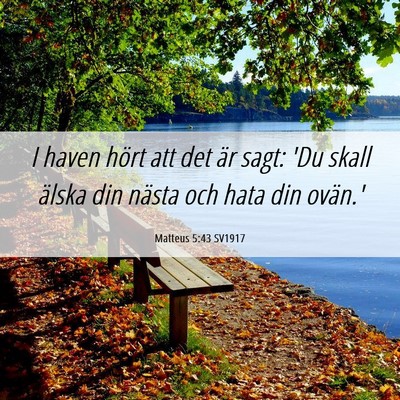 Picture 06 - Matteus 5:43 SV1917 - I haven hört att det är sagt: 'Du skall älska - Bible Verse Picture