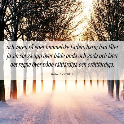 Picture 06 - Matteus 5:45 SV1917 - och varen så eder himmelske Faders barn; han - Bible Verse Picture