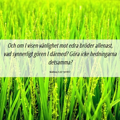 Picture 06 - Matteus 5:47 SV1917 - Och om I visen vänlighet mot edra bröder - Bible Verse Picture