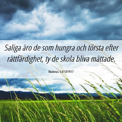 Picture 06 - Matteus 5:6 SV1917 - Saliga äro de som hungra och törsta efter - Bible Verse Picture