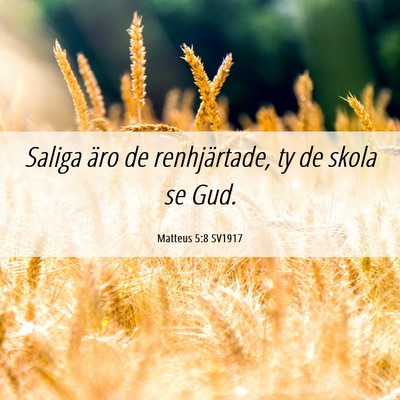 Picture 06 - Matteus 5:8 SV1917 - Saliga äro de renhjärtade, ty de skola se - Bible Verse Picture