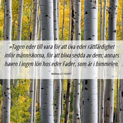 Picture 06 - Matteus 6:1 SV1917 - »Tagen eder till vara för att öva eder - Bible Verse Picture