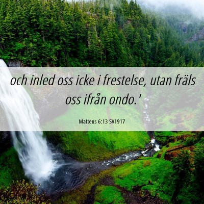 Picture 06 - Matteus 6:13 SV1917 - och inled oss icke i frestelse, utan fräls oss - Bible Verse Picture