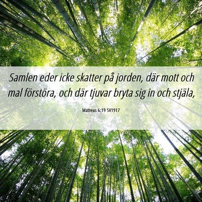 Picture 06 - Matteus 6:19 SV1917 - Samlen eder icke skatter på jorden, där mott - Bible Verse Picture
