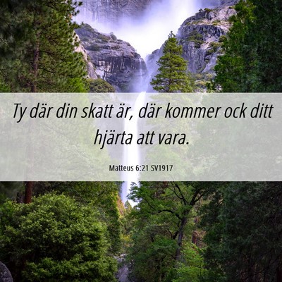 Picture 06 - Matteus 6:21 SV1917 - Ty där din skatt är, där kommer ock ditt - Bible Verse Picture