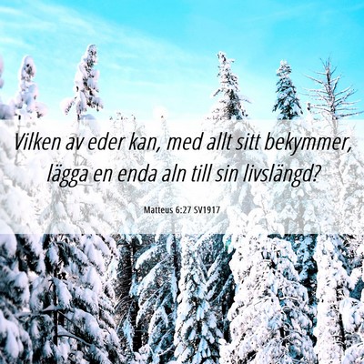 Picture 06 - Matteus 6:27 SV1917 - Vilken av eder kan, med allt sitt bekymmer, - Bible Verse Picture