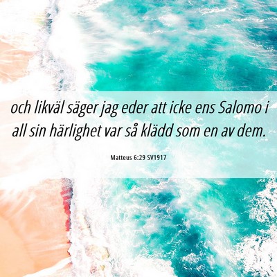 Picture 06 - Matteus 6:29 SV1917 - och likväl säger jag eder att icke ens Salomo i - Bible Verse Picture