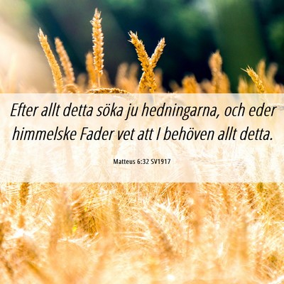 Picture 06 - Matteus 6:32 SV1917 - Efter allt detta söka ju hedningarna, och eder - Bible Verse Picture