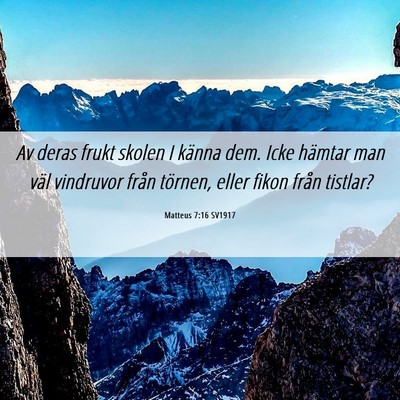 Picture 06 - Matteus 7:16 SV1917 - Av deras frukt skolen I känna dem. Icke hämtar - Bible Verse Picture